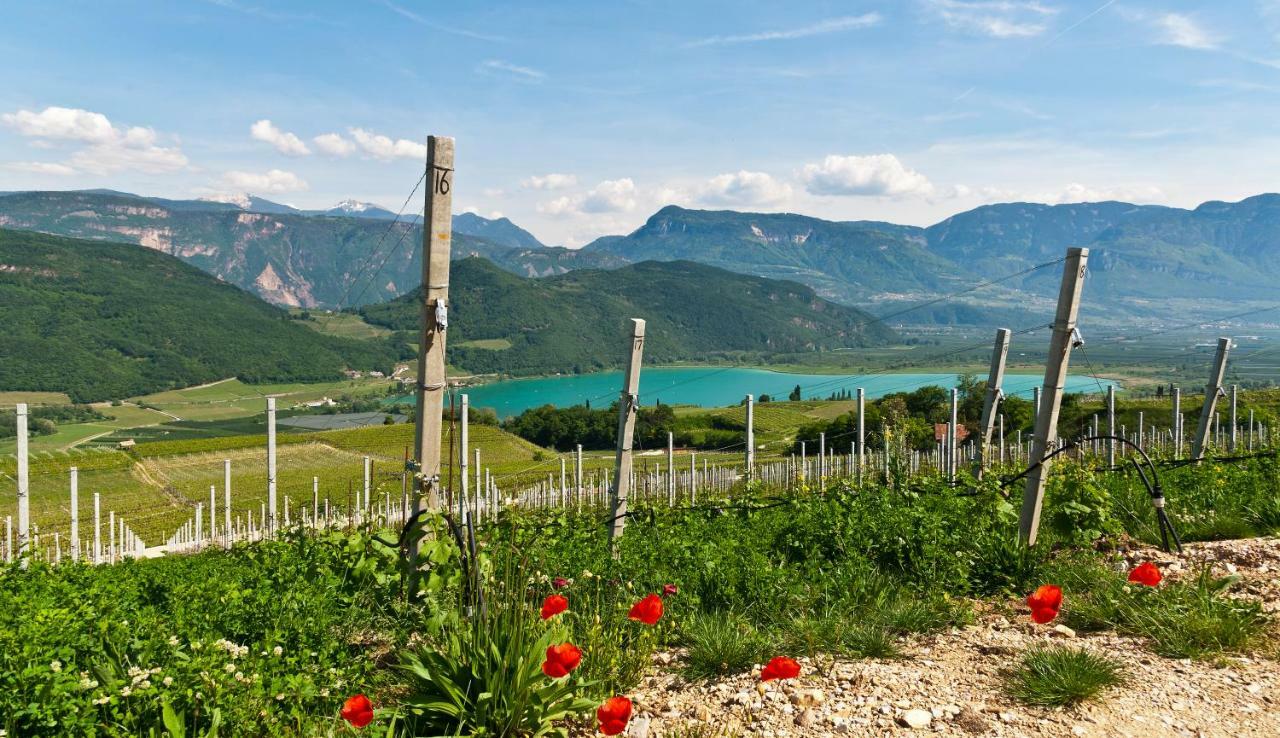 Hotel Weingut Klosterhof カルダーロ エクステリア 写真